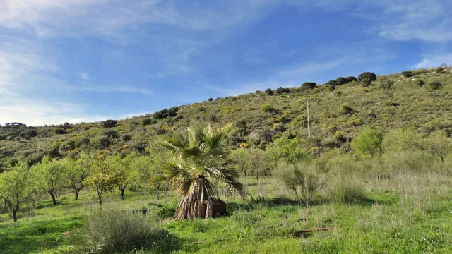 gaucin property for sale