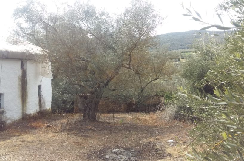 country property ronda MB23719-2 (2)