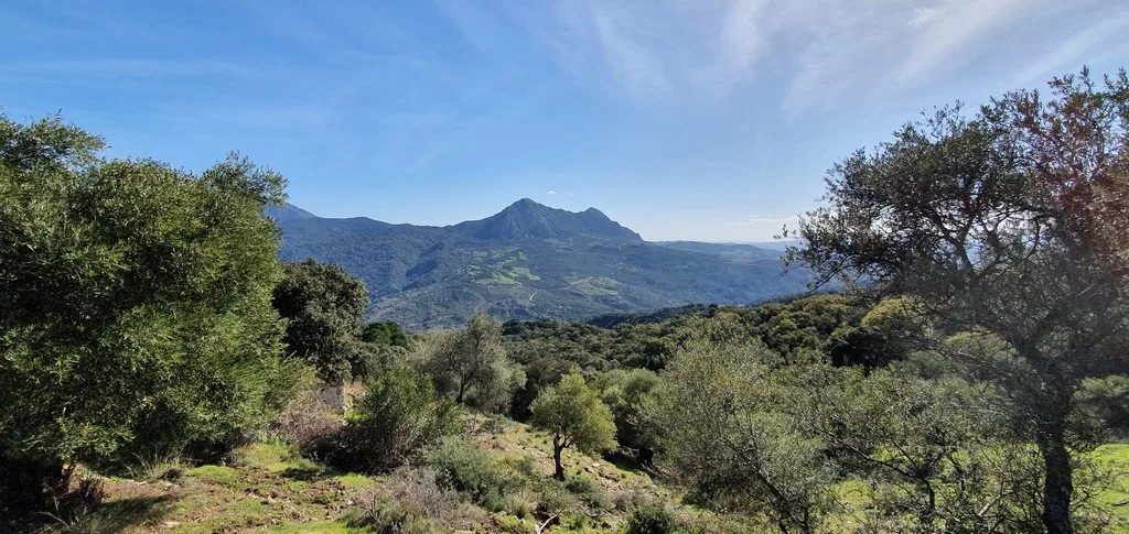 country property for sale Gaucin behind castle