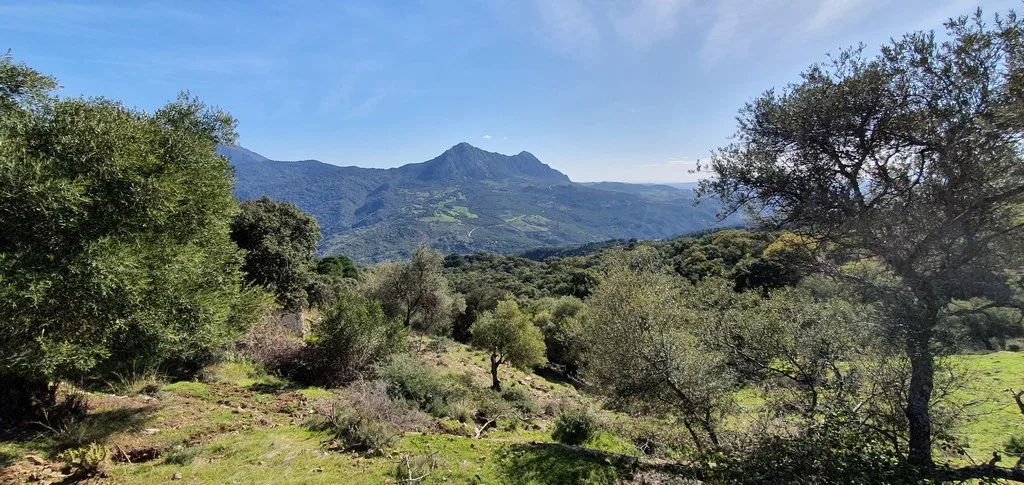 country property for sale Gaucin behind castle