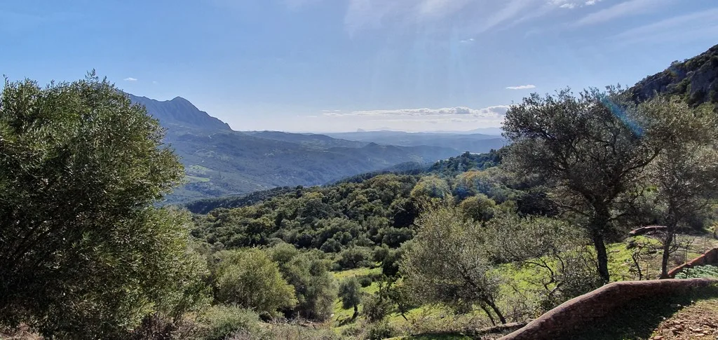 country property for sale Gaucin behind castle