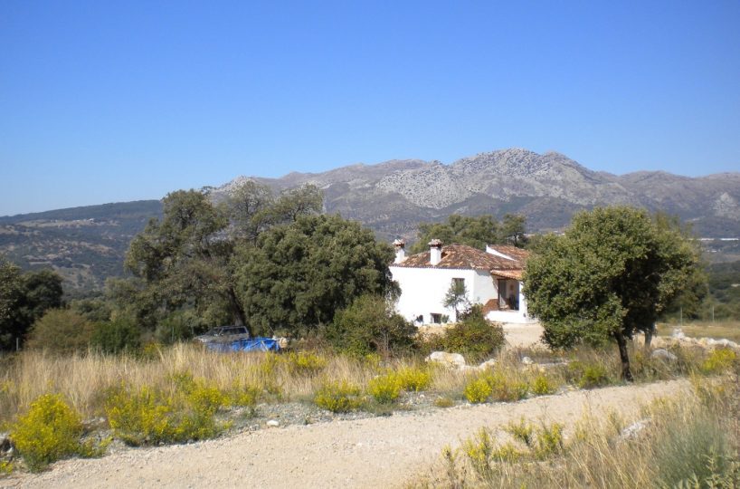 country property for sale Ronda area SL1