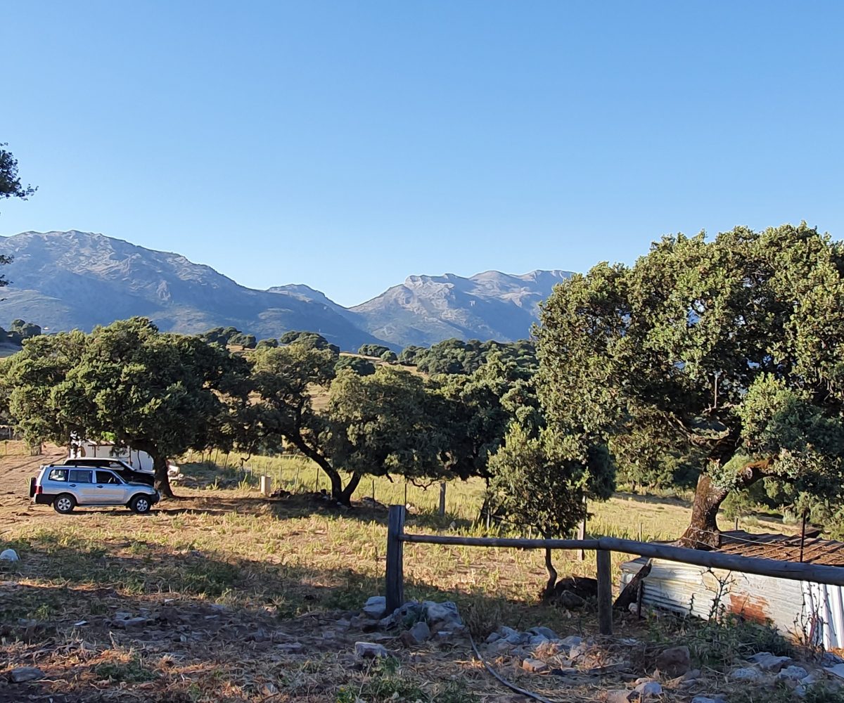 country retreat cortes